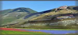 Castelluccio di Norcia e la fioritura
